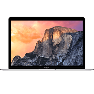 Macbook Retina 12 (A1534)